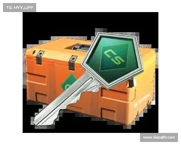 俄罗斯玩家怎么买到低价CSGO皮肤省钱攻略与实用购买渠道分析 俄罗斯玩家怎么买到低价CSGO皮肤省钱攻略与实用购买渠道分析