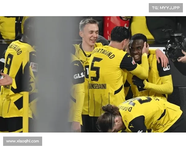 如何破解拜仁霸主地位 德甲球队的应对策略与挑战之道